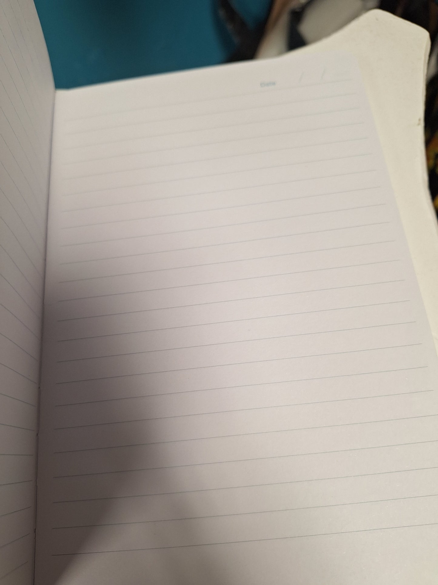 Irid Mermaid Journal