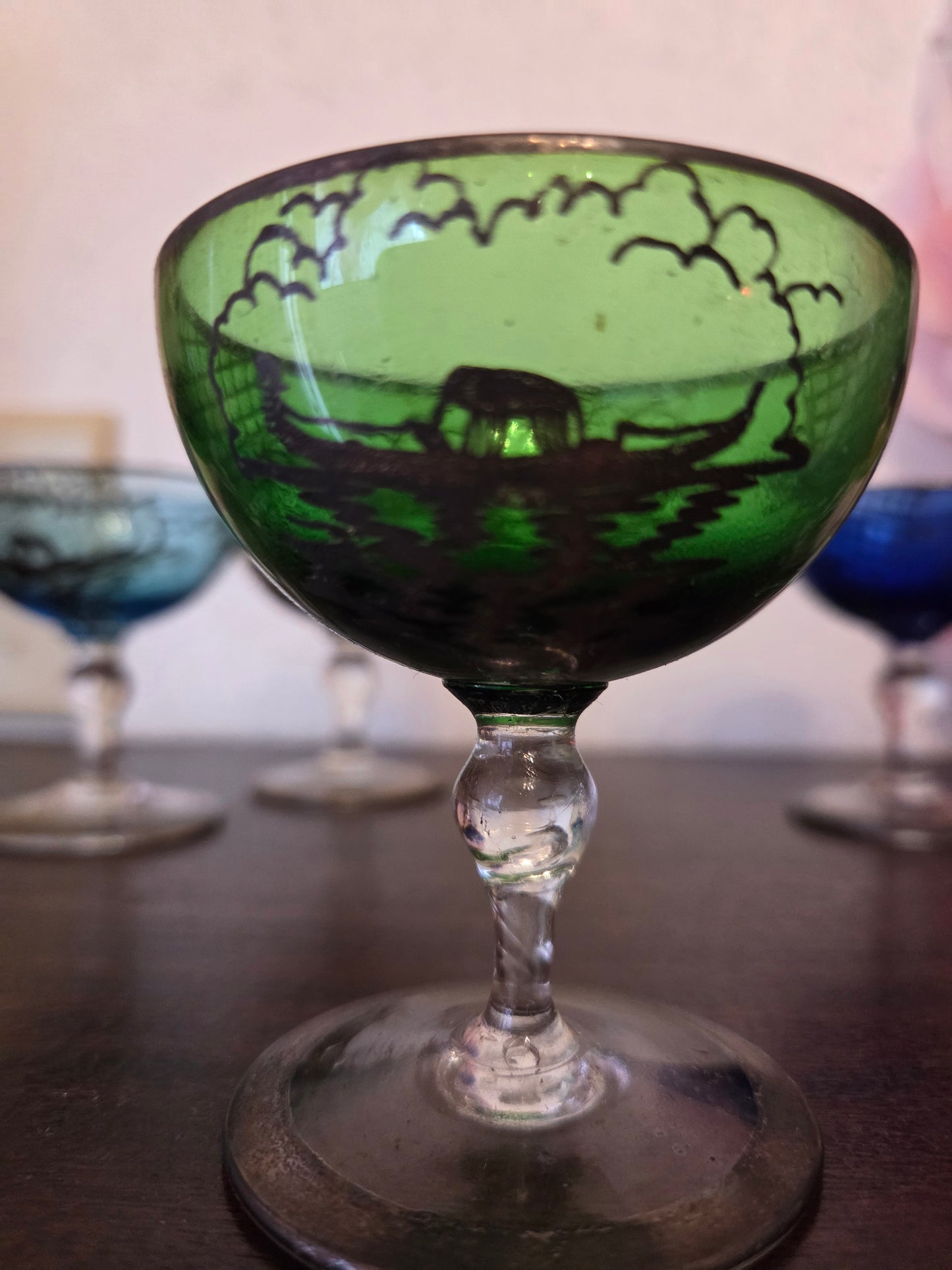 Etched Glasses in Case