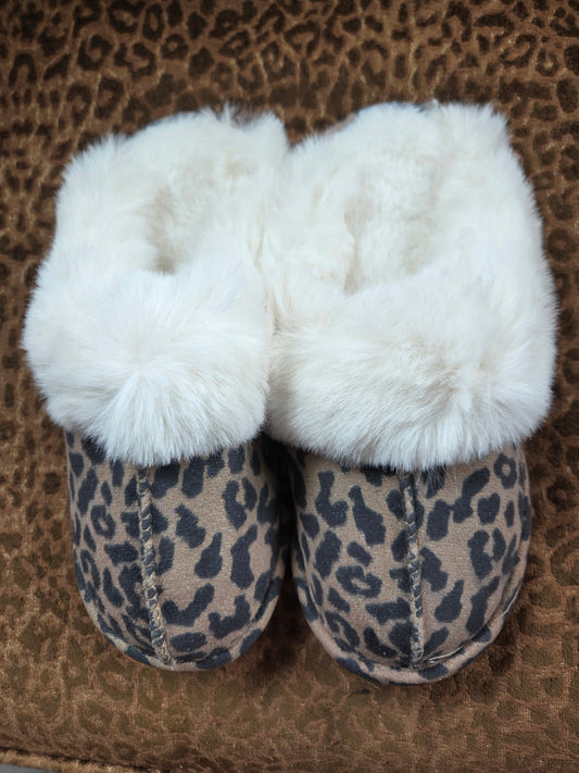 Leo House Shoes