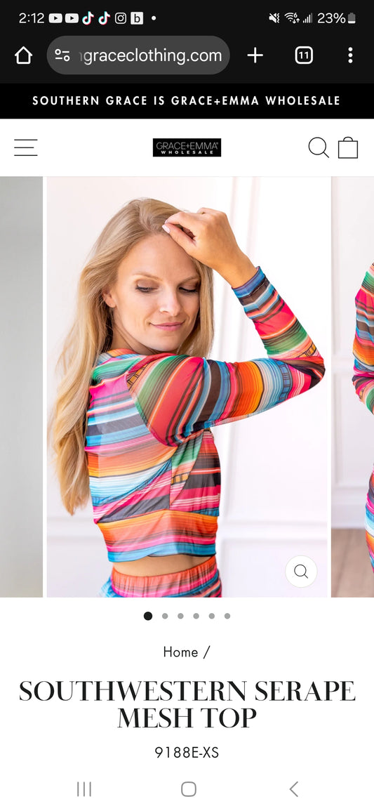 Serape Mesh Crop Top
