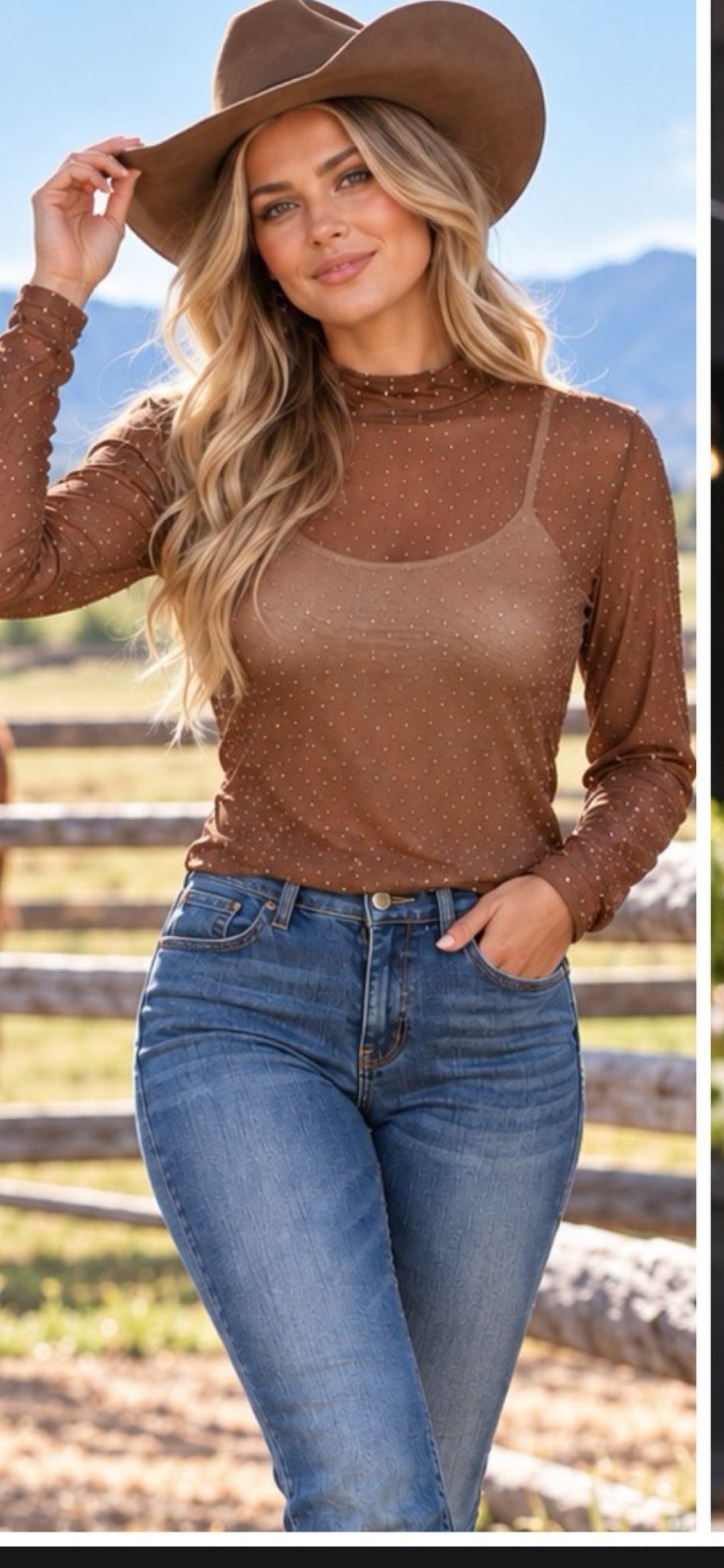 Brown Mesh Rhinestone Mock Neck